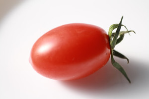 tomato1