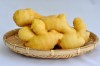 新生姜の漬物!漬け方はどうする?生姜の酢生姜【酢漬け】の作り方は?