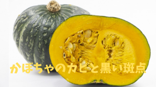 かぼちゃにカビが！黒や白のカビは食べられる？中に虫が！どうする 