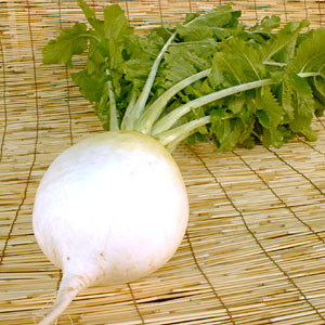 syogoindaikon